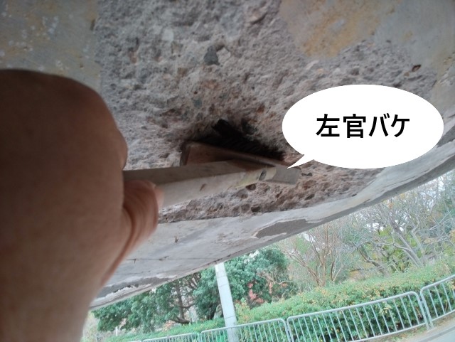 露筋箇所の処理　左官バケで清掃